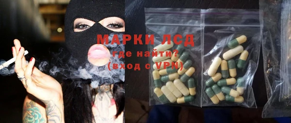 apvp Алзамай