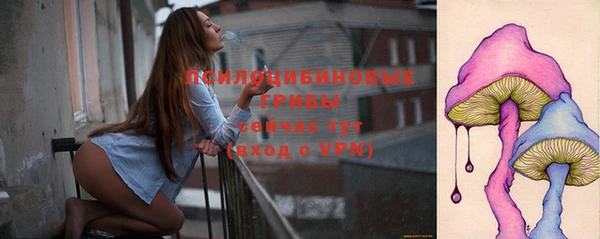 apvp Алзамай