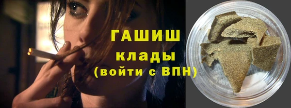 гашик Алексин