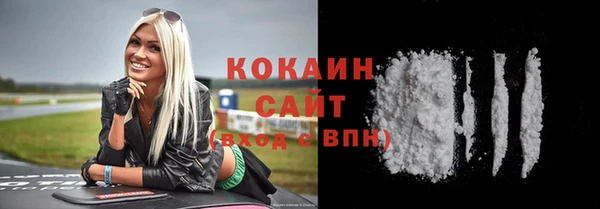 шишки Абинск
