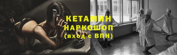 гашик Алексин