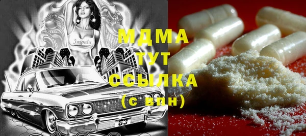 гашик Алексин