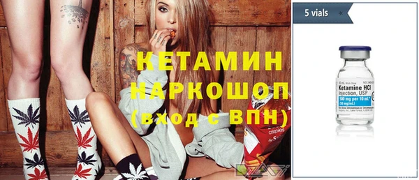 гашик Алексин