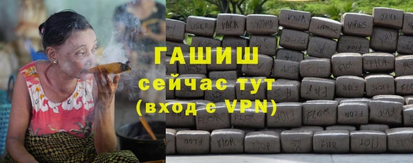 гашик Алексин