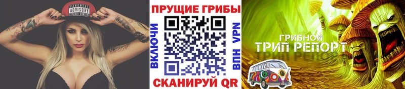 Галлюциногенные грибы прущие грибы  Шумерля 